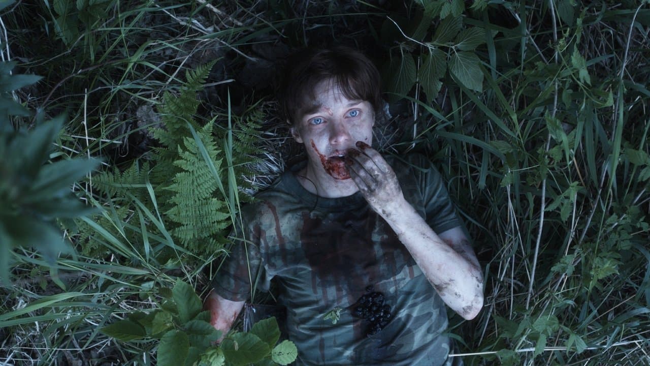 Backdrop – Yellow Brick Road