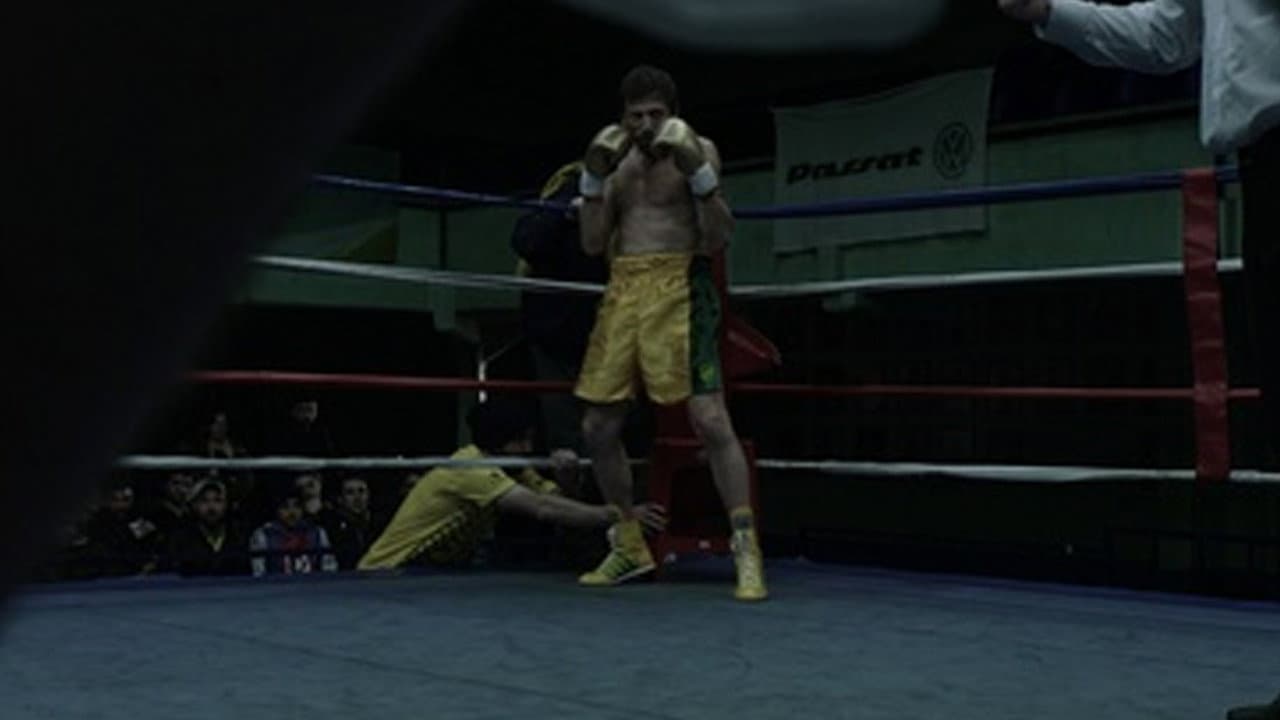 Backdrop – El halcón