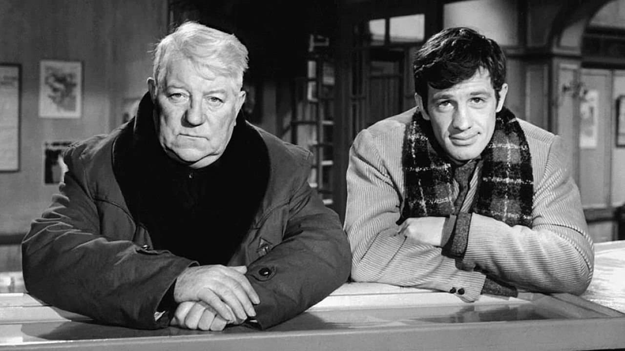 Backdrop – Ein Affe im Winter