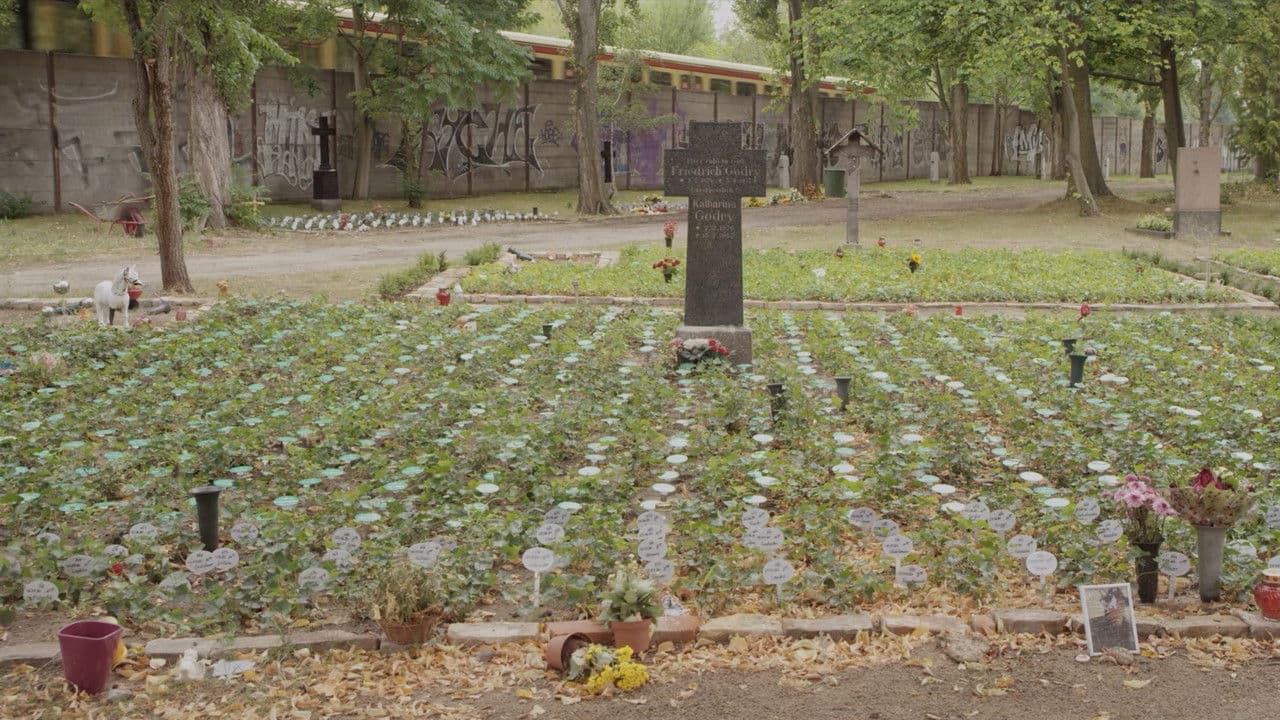 Backdrop – Alleingang