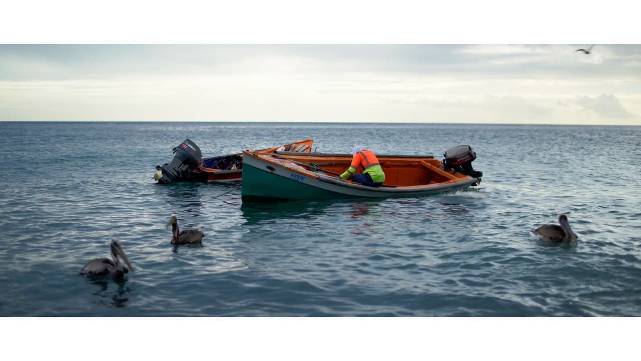 Backdrop – DOUBOUT OUBIEN MÔ