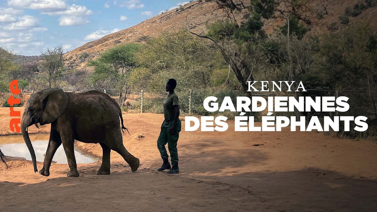Backdrop – Elephant Guardians of Kenya