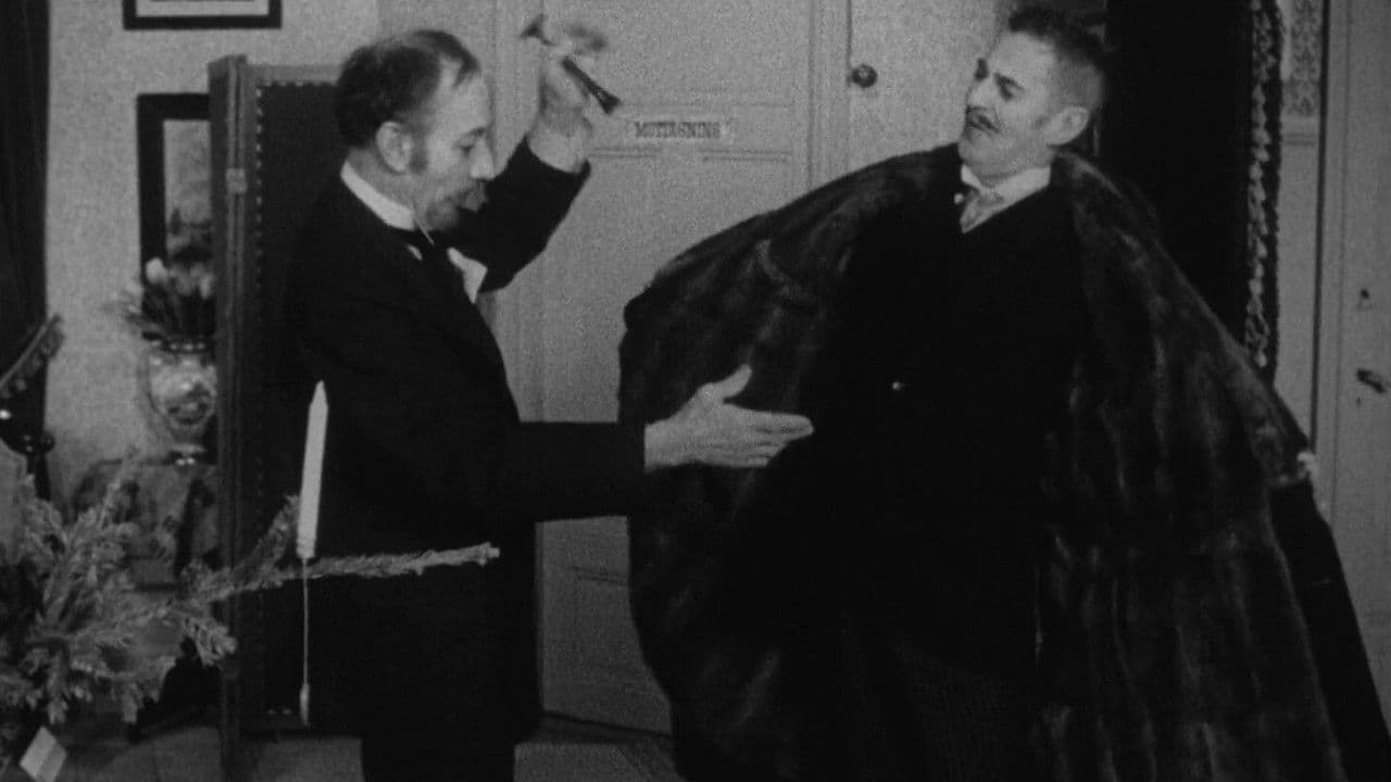 Backdrop – Pälsen