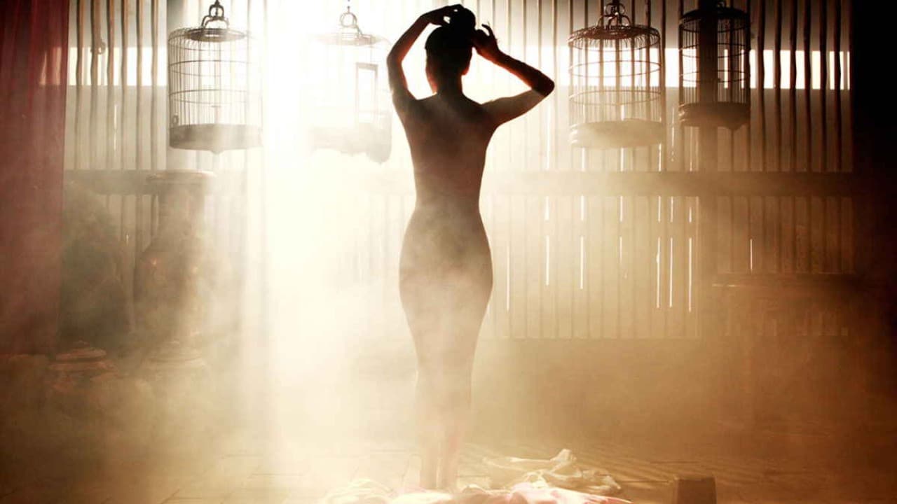 Backdrop – Farben der Leidenschaft