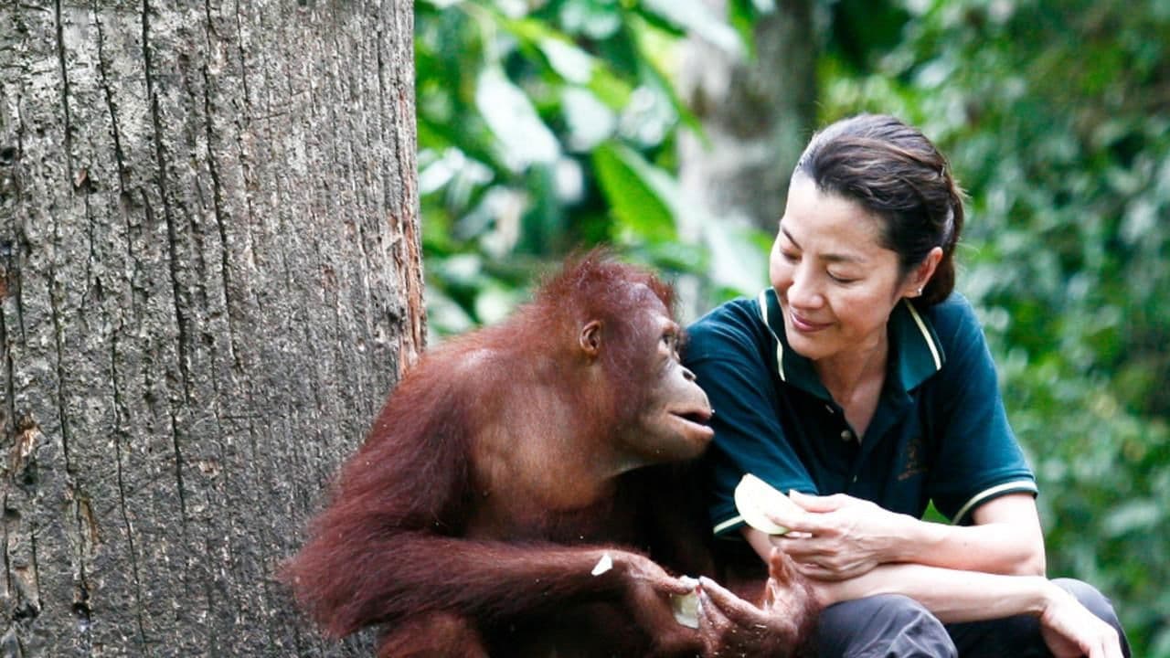 Backdrop – Among the Great Apes with Michelle Yeoh