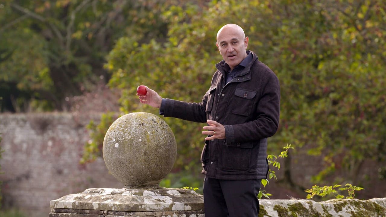 Backdrop – Die Schwerkraft und ich - Die Kraft, die unser Leben gestaltet