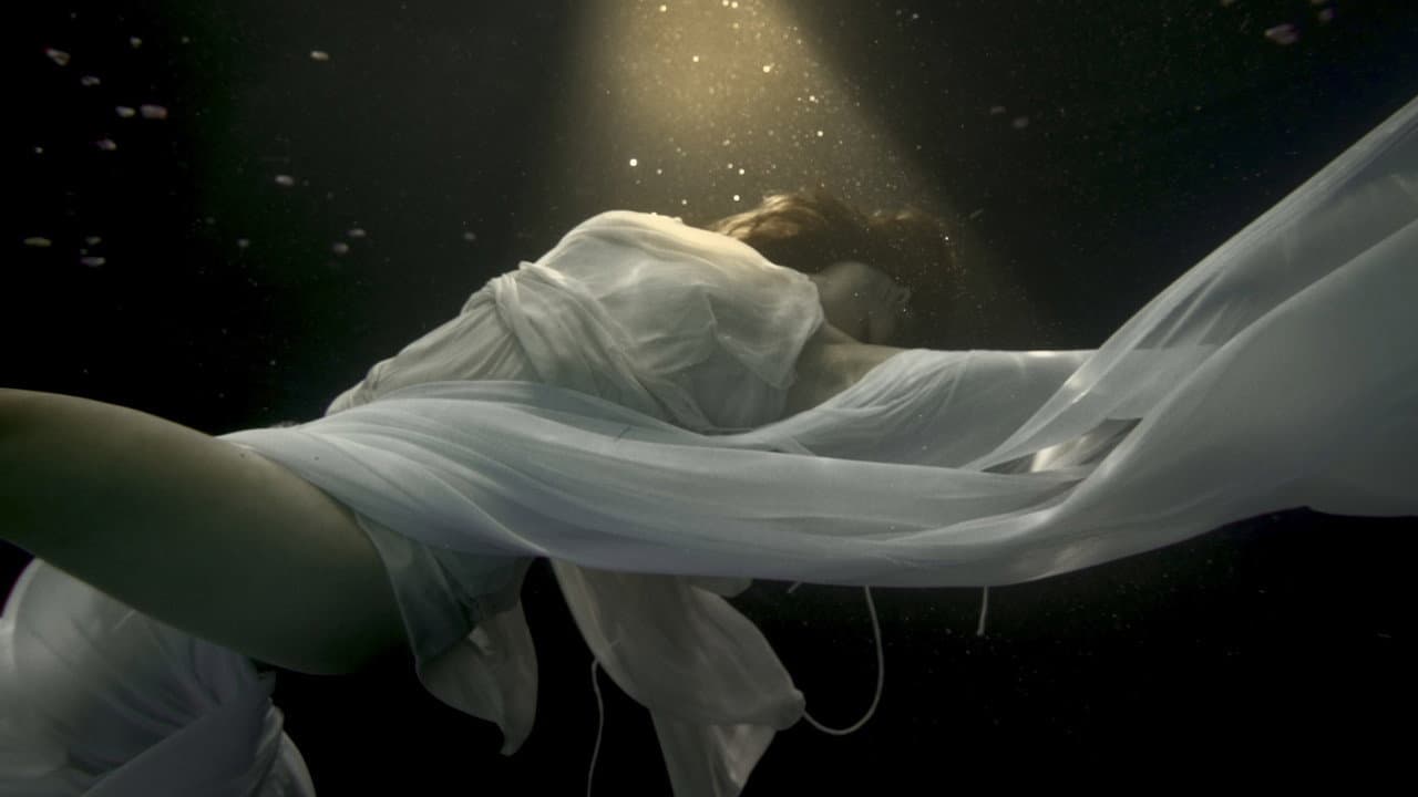 Backdrop – Héritières