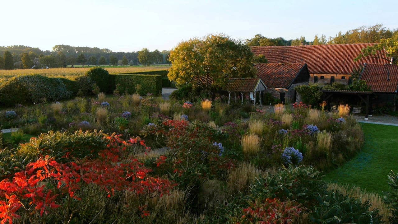 Backdrop – Five Seasons: The Gardens of Piet Oudolf