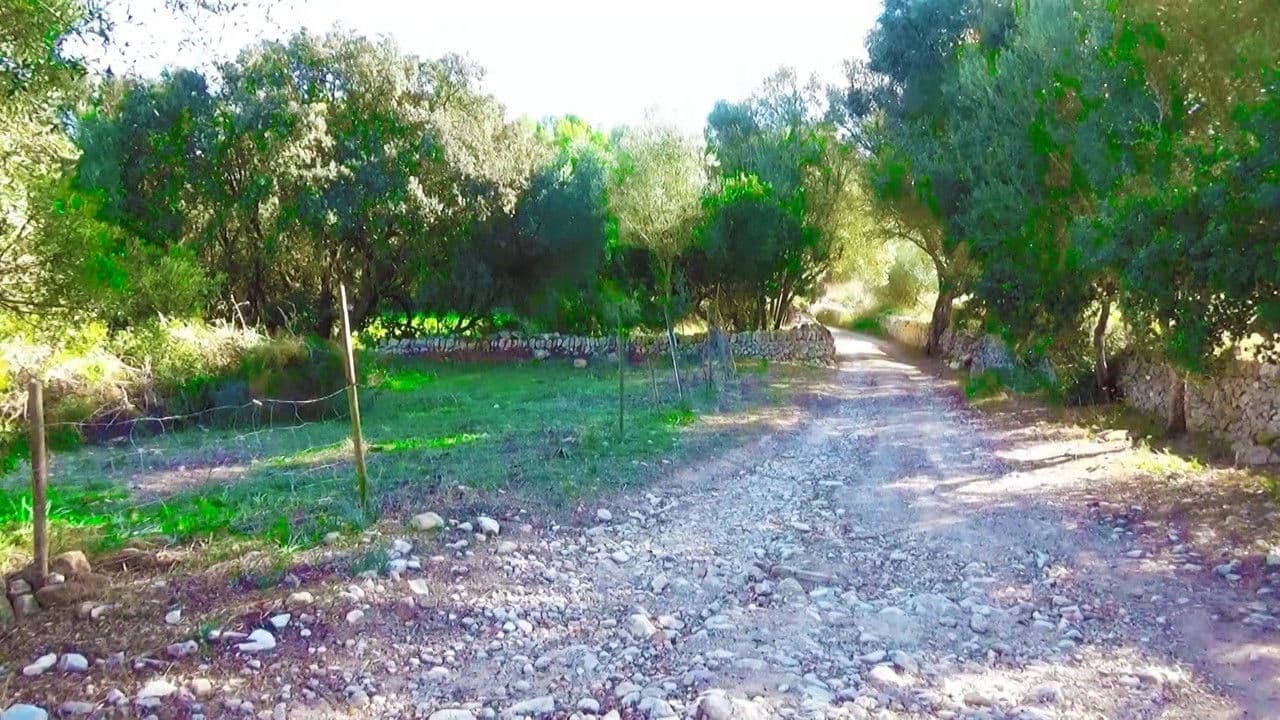 Backdrop – Es quizás