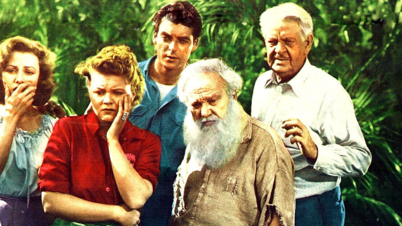 Backdrop – Miraculous Journey