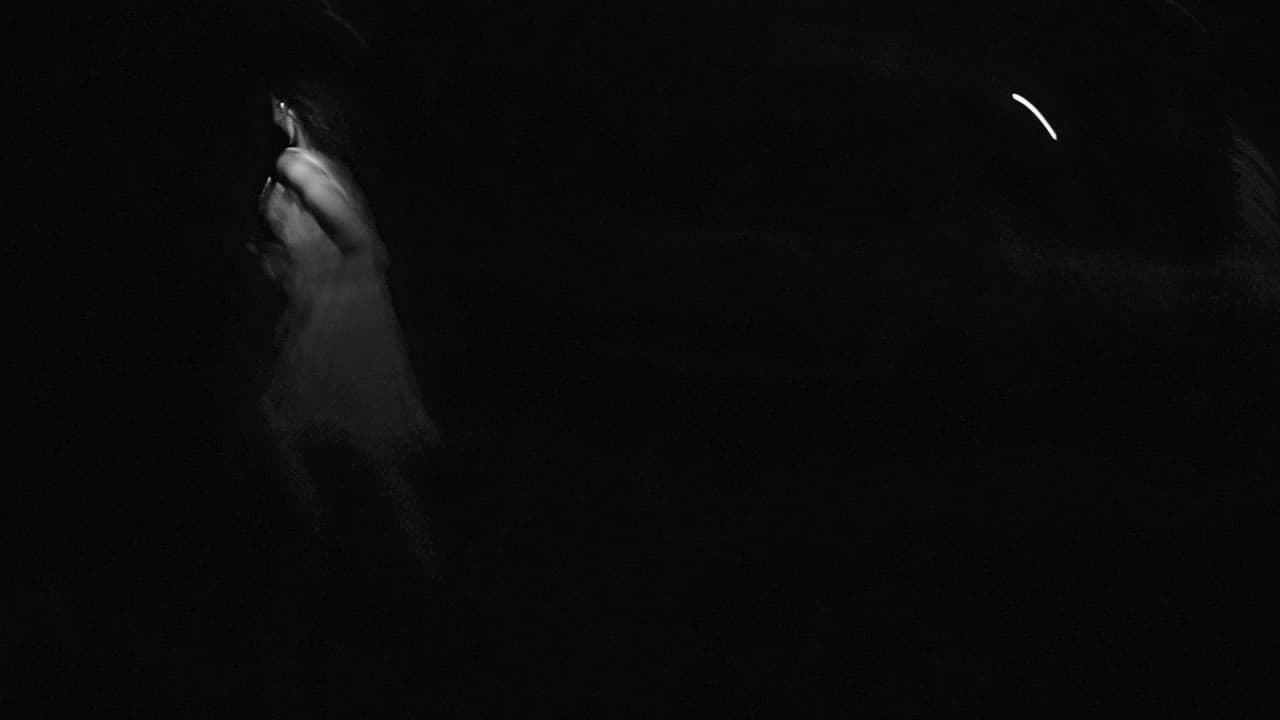 Backdrop – Moonlight Valley