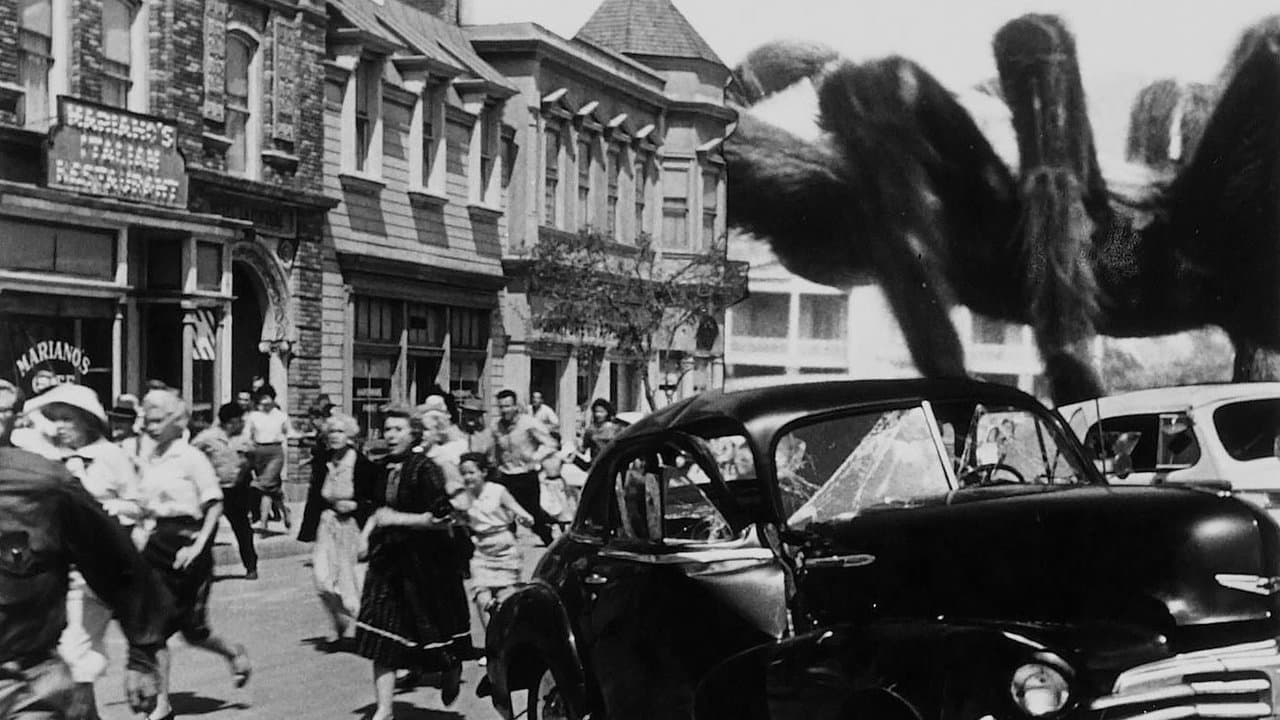 Backdrop – Die Rache der schwarzen Spinne