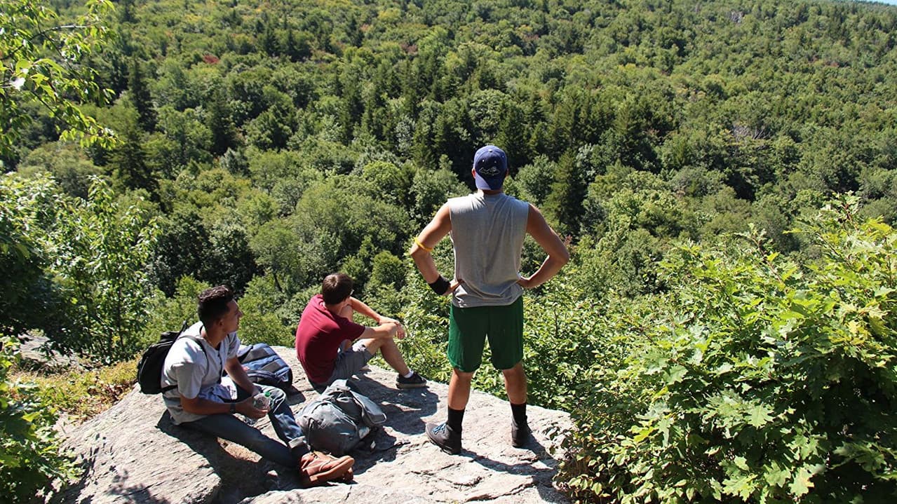 Backdrop – And the Boys Go