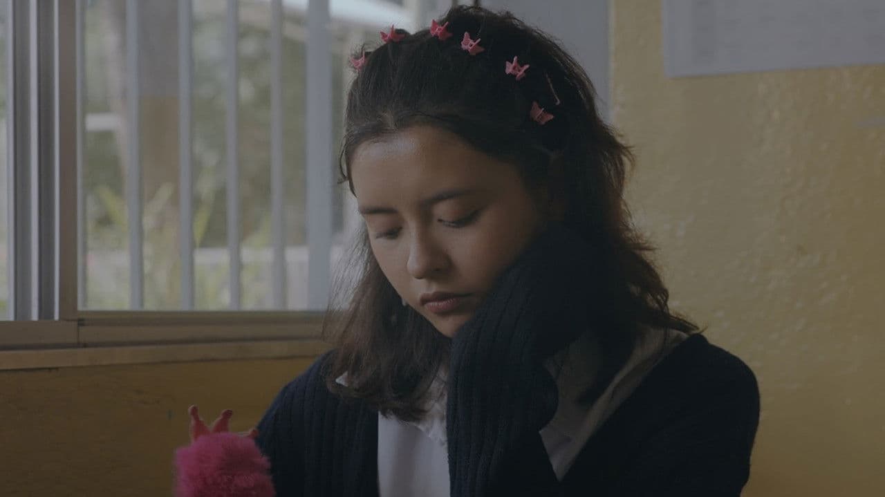 Backdrop – Lavanda