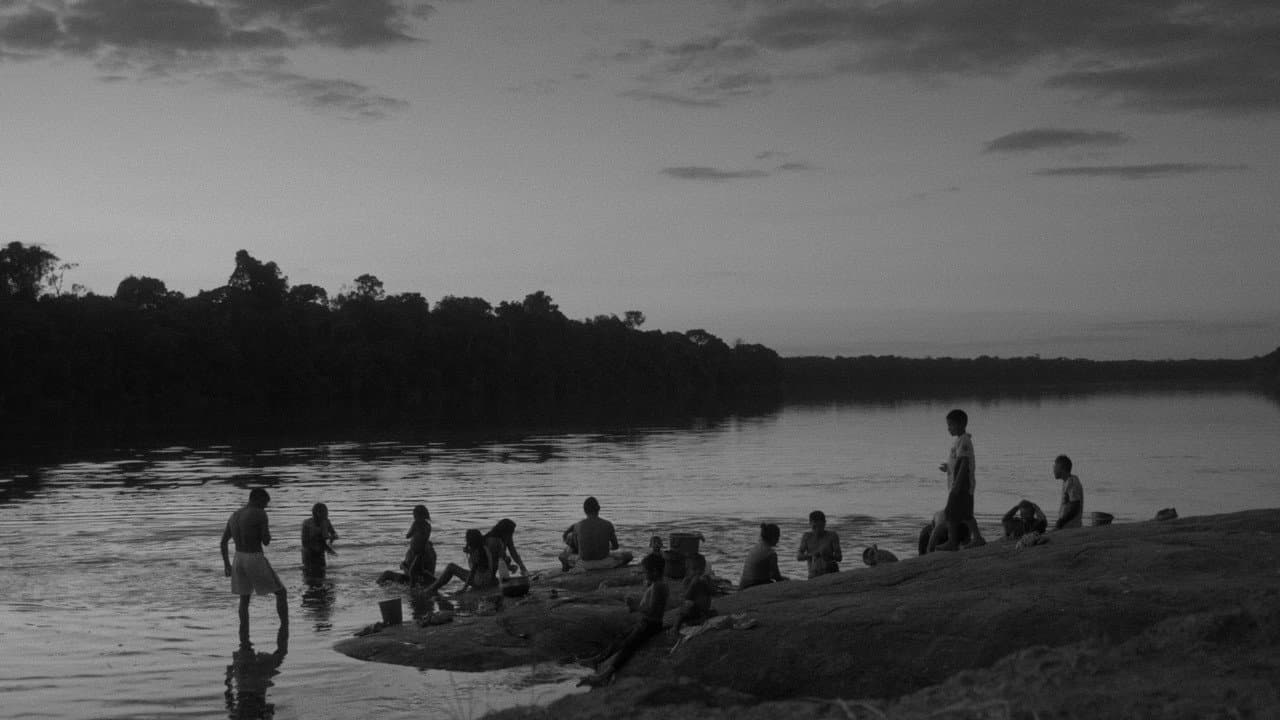 Backdrop – Adieu sauvage