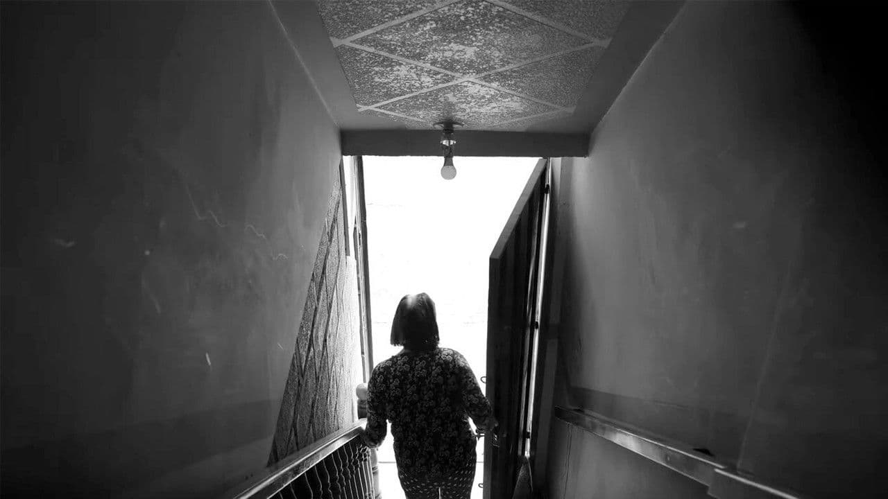 Backdrop – Oscuro brillante