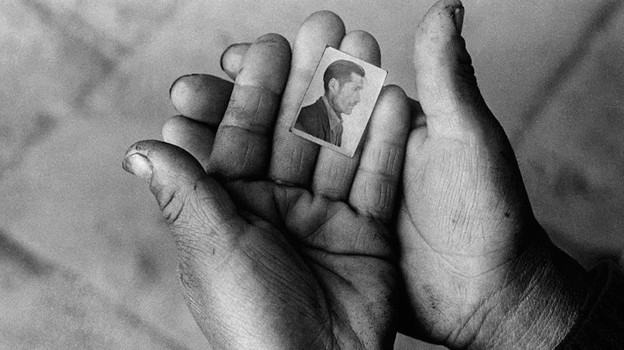 Backdrop – State of Fear