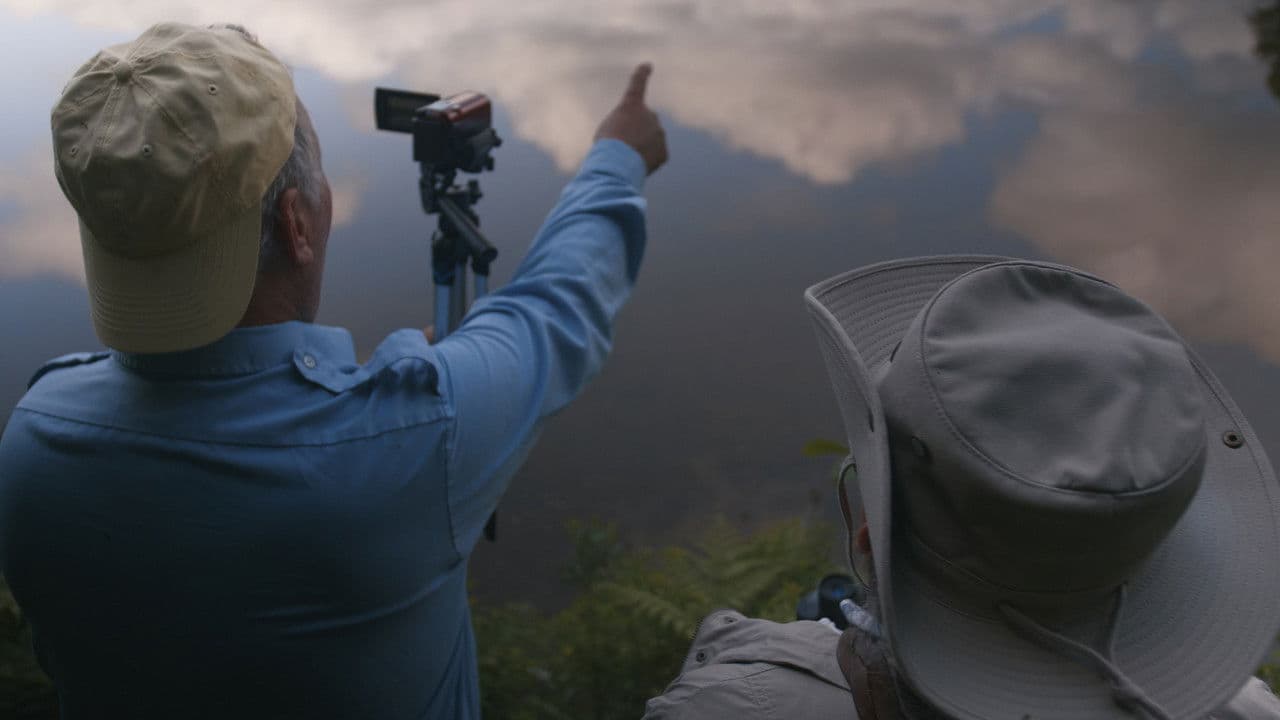 Backdrop – Boomer sur le lac