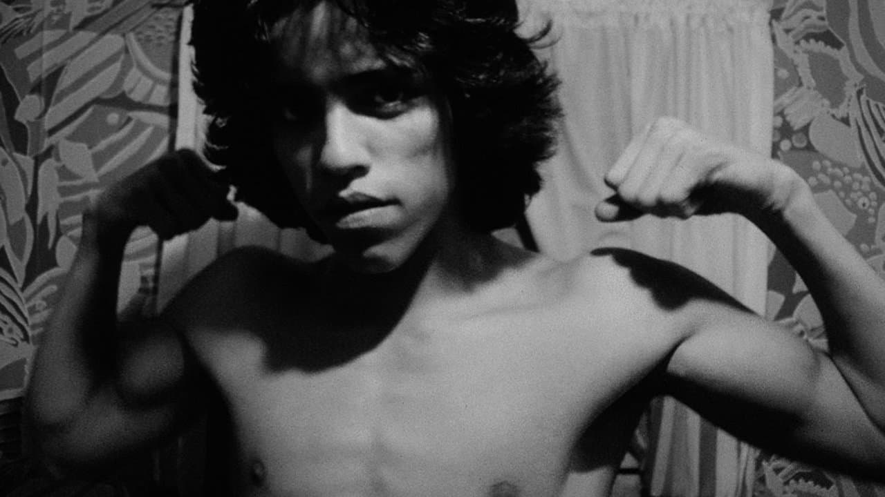 Backdrop – Mala Noche