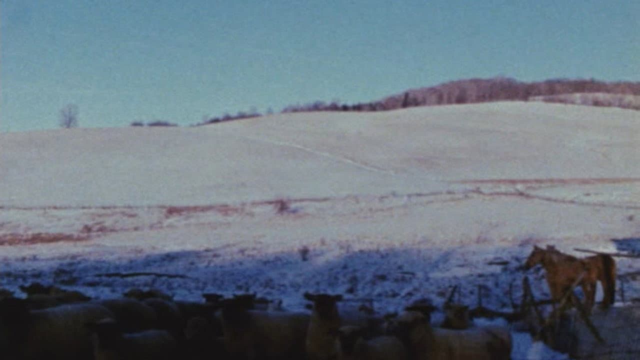 Backdrop – Horizons
