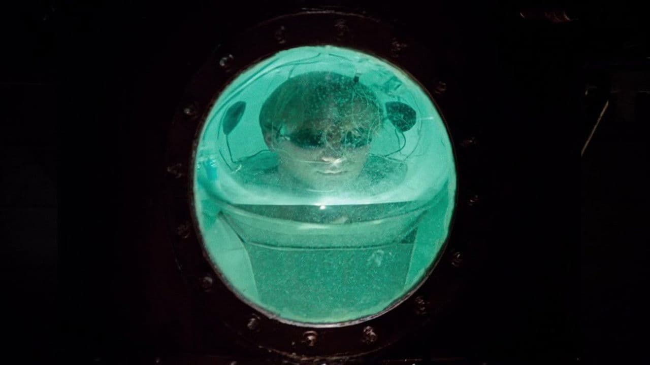 Backdrop – Der Höllentrip