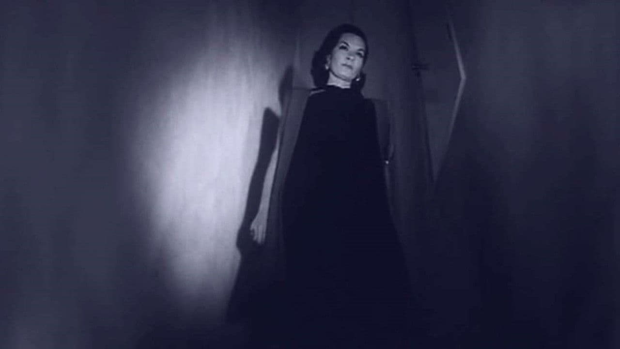 Backdrop – Teenage Zombies