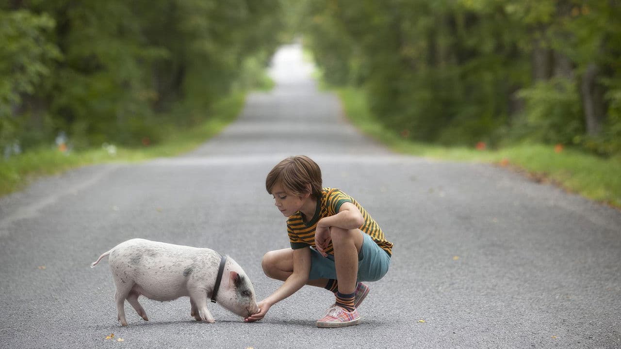 Backdrop – Hotell Gyllene Knorren - filmen