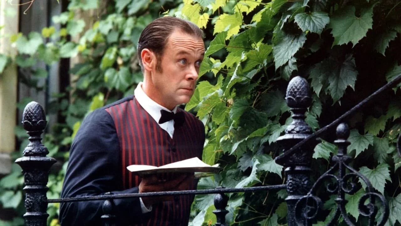 Backdrop – Saturnin