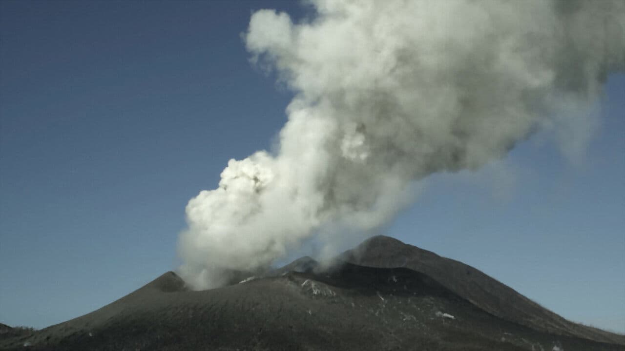 Backdrop – Naturkatastrophen: Wie Tiere und Pflanzen überleben