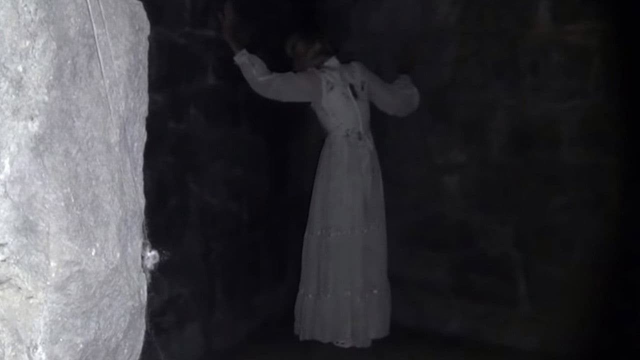 Backdrop – The Blair Witch Legacy