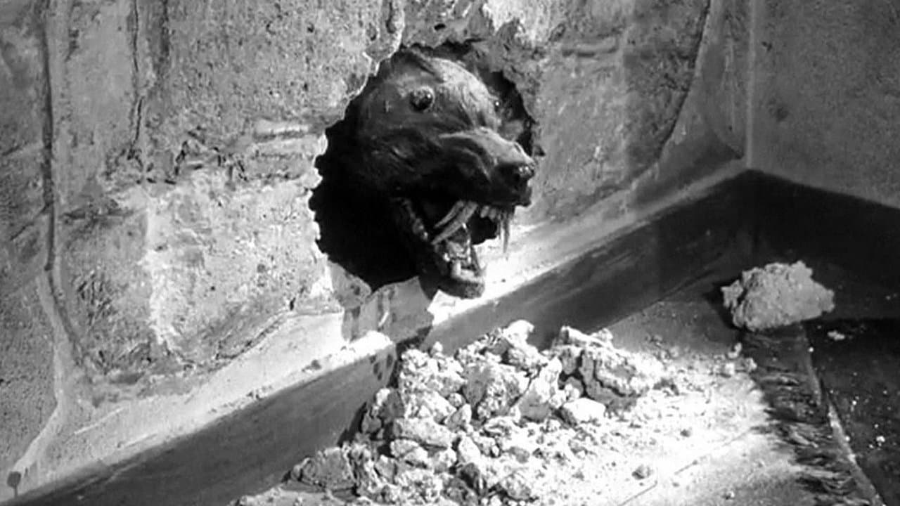 Backdrop – Die Nacht der unheimlichen Bestien