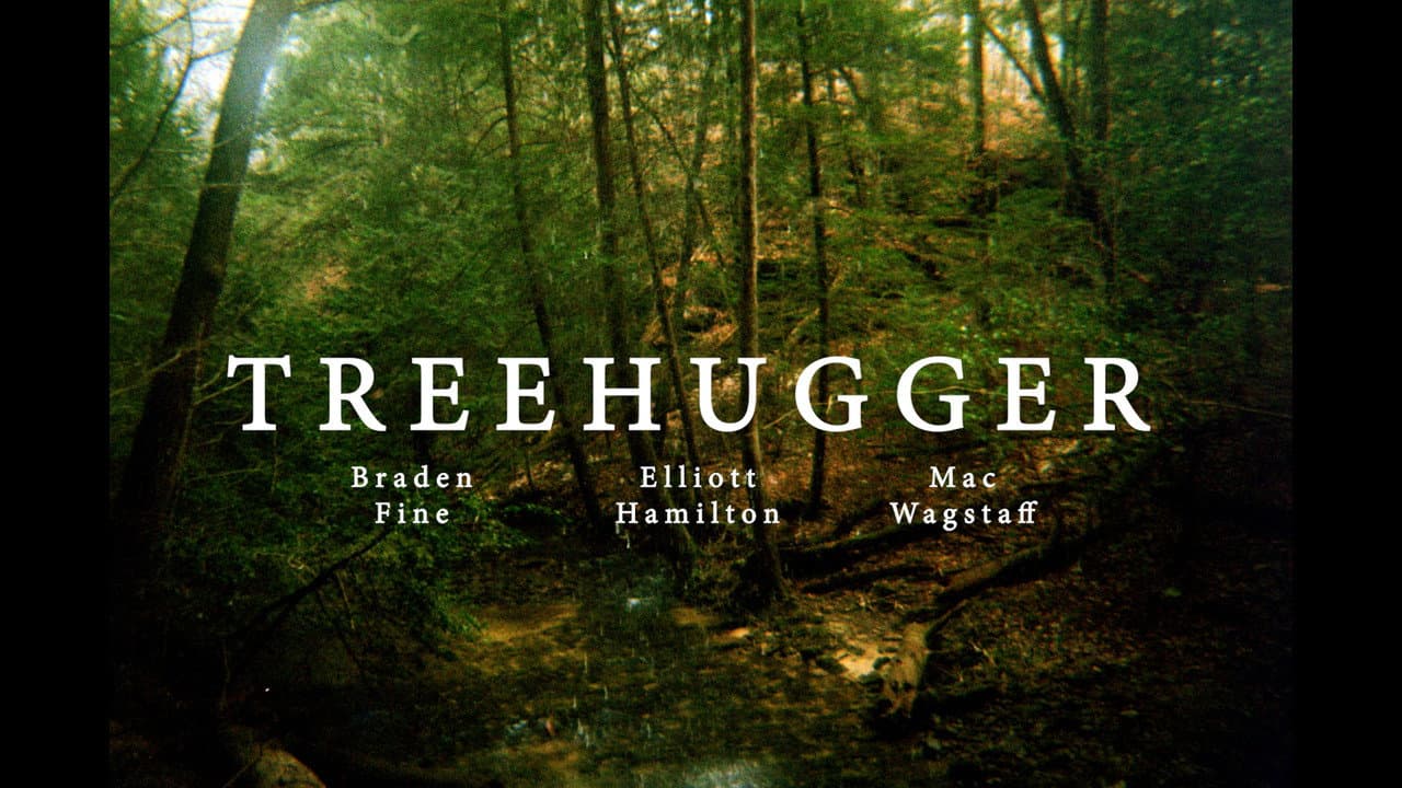 Backdrop – Treehugger