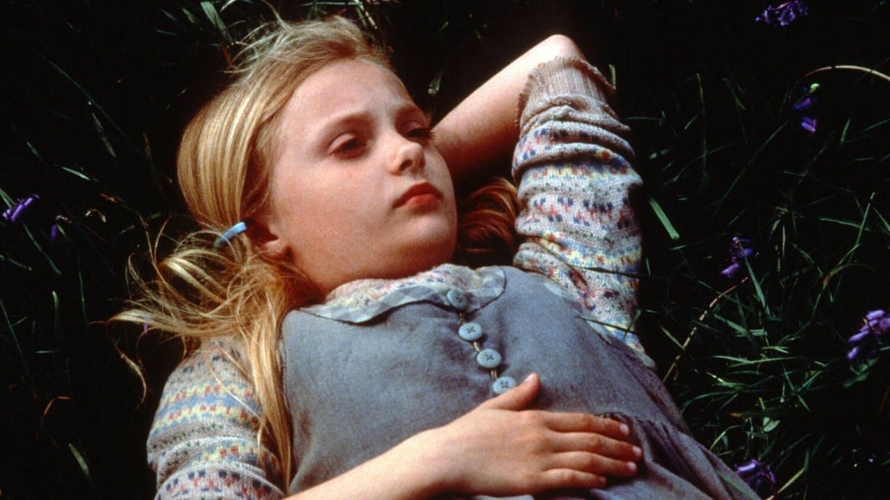 Backdrop – Das Geheimnis des Seehundbabys