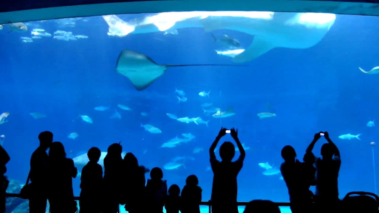 Backdrop – Mit mívelt Isten