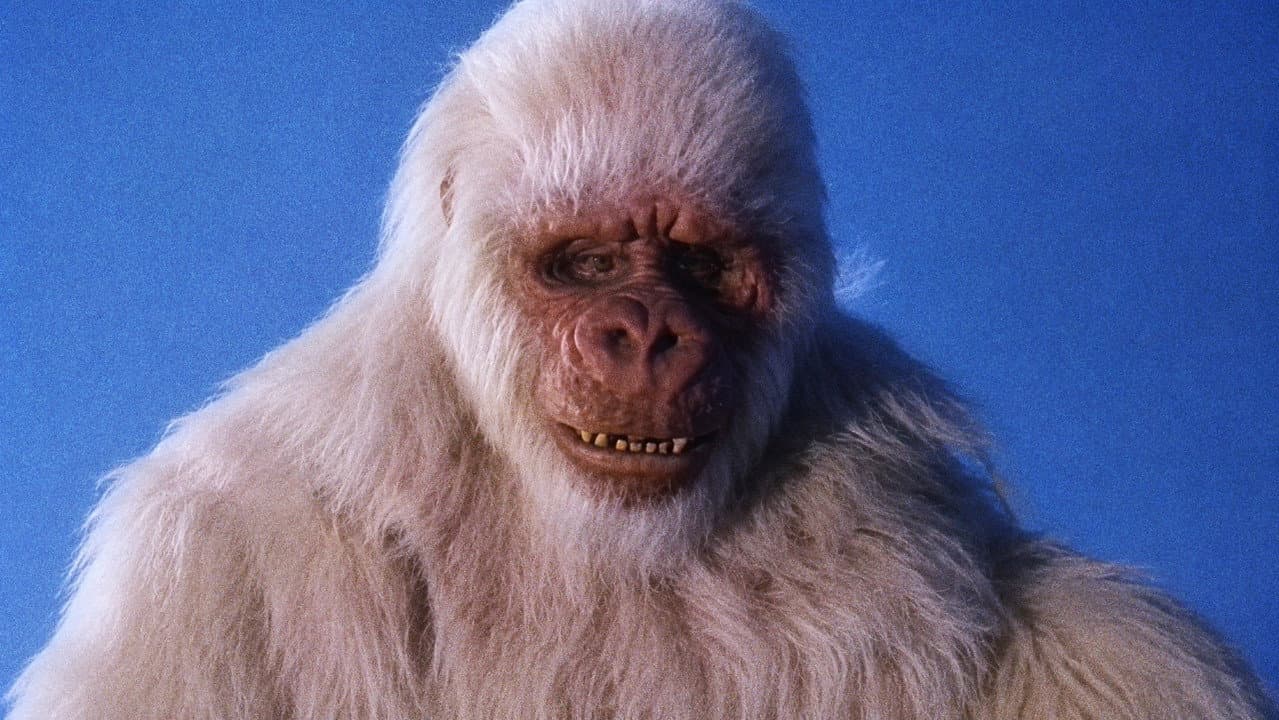 Backdrop – The Ivory Ape