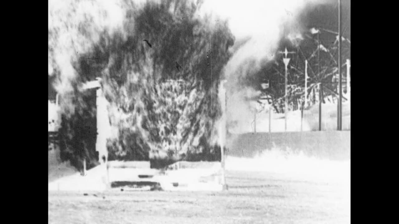 Backdrop – THE WHOLE SHEBANG