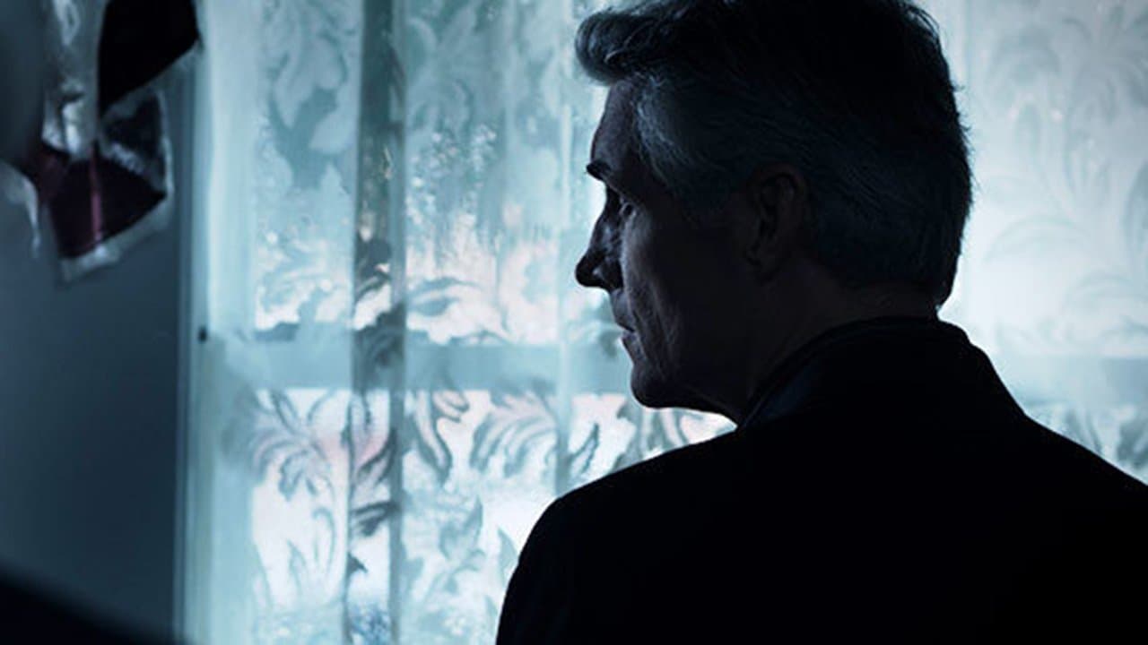 Backdrop – Ace Wonder