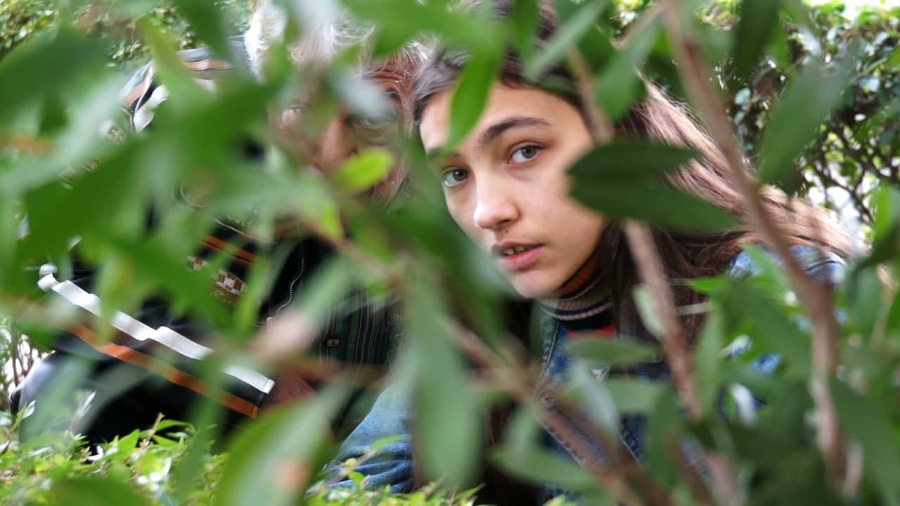 Backdrop – Divino tesoro