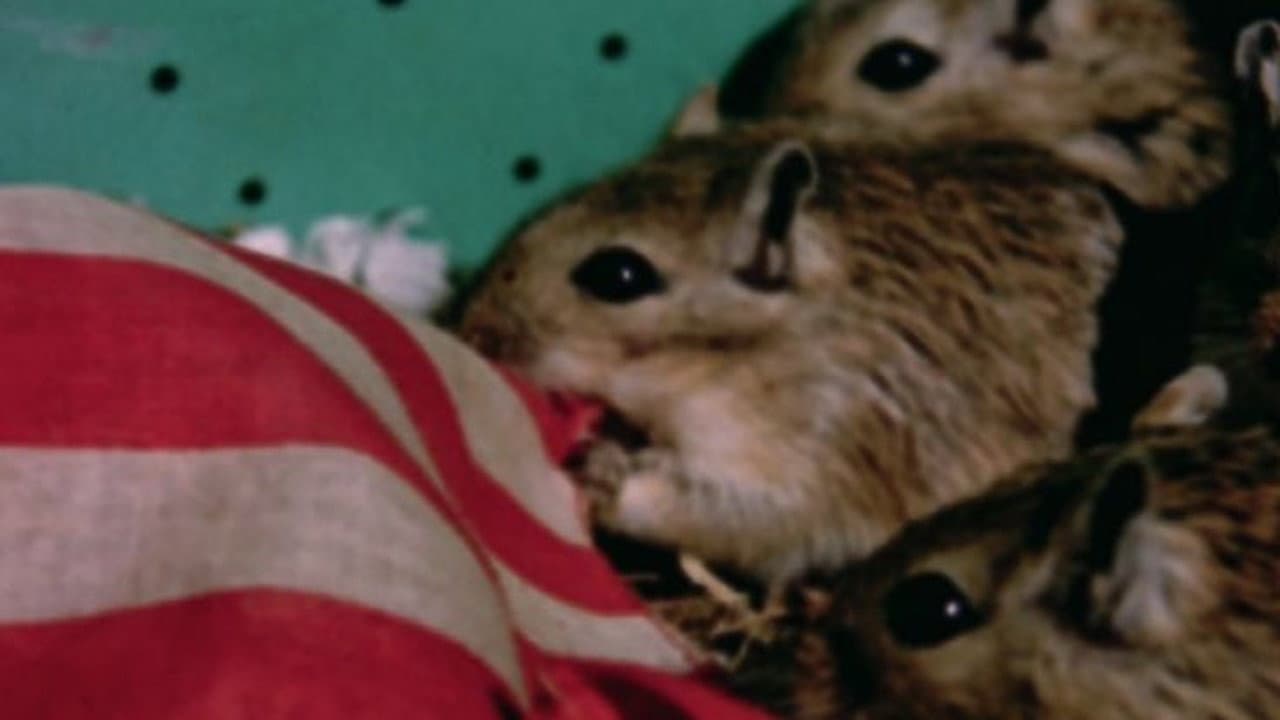 Backdrop – Rat Life and Diet in North America