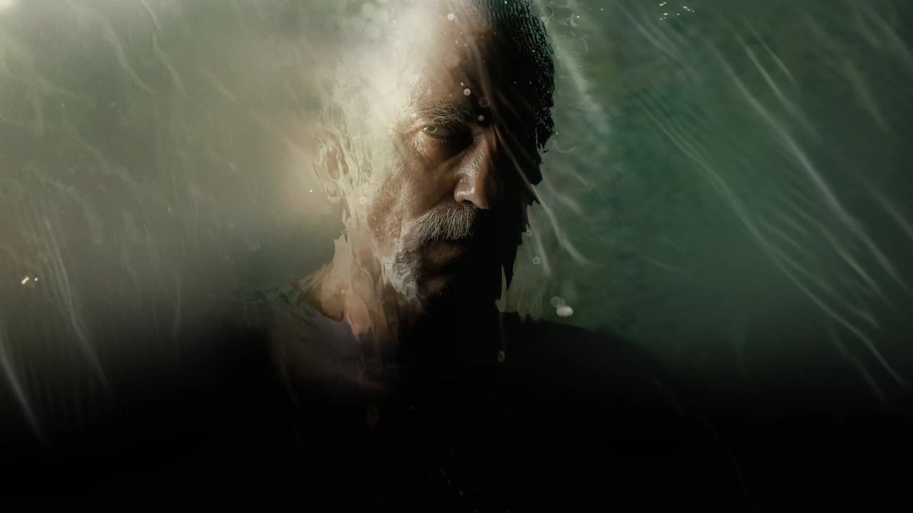 Backdrop – Anemone