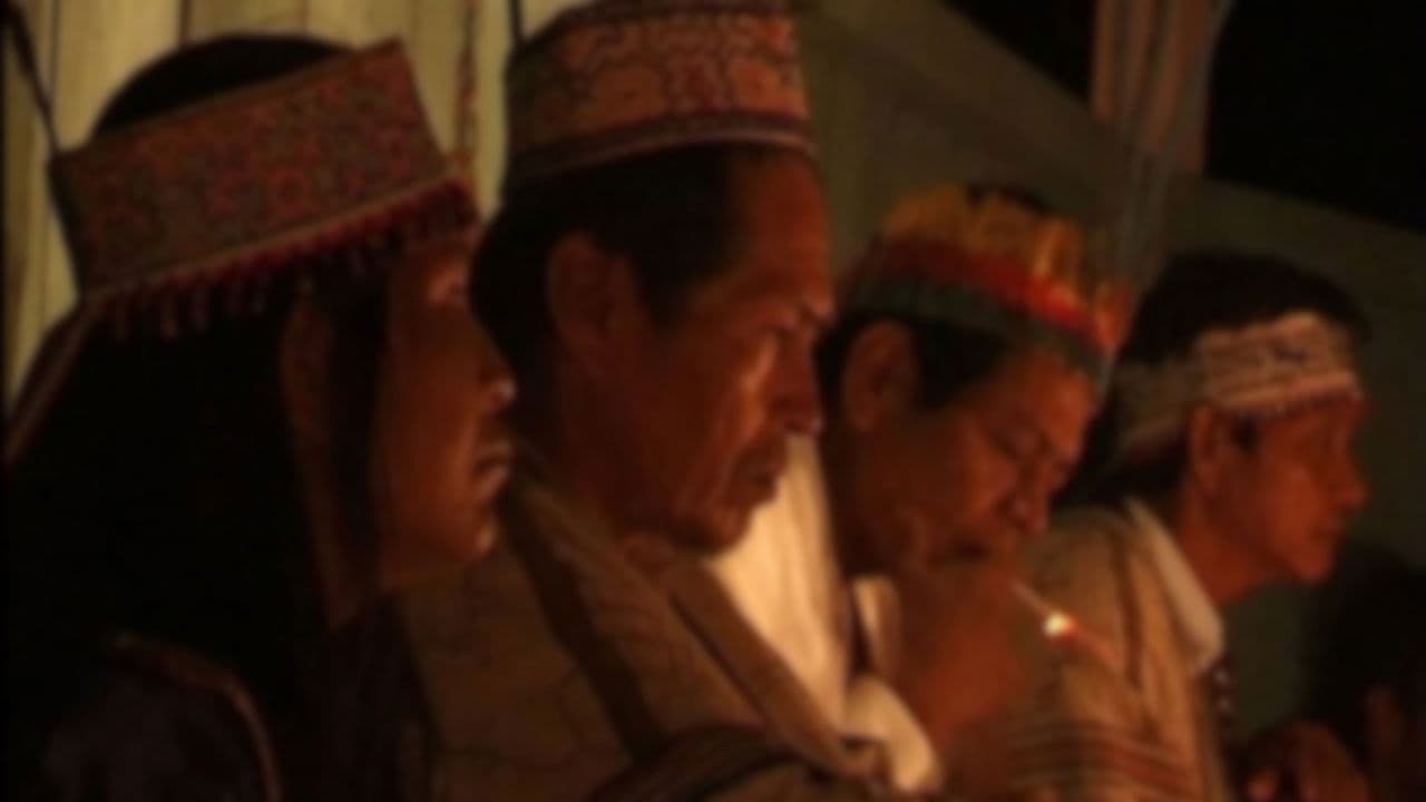 Backdrop – L'Ayahuasca, le serpent et moi