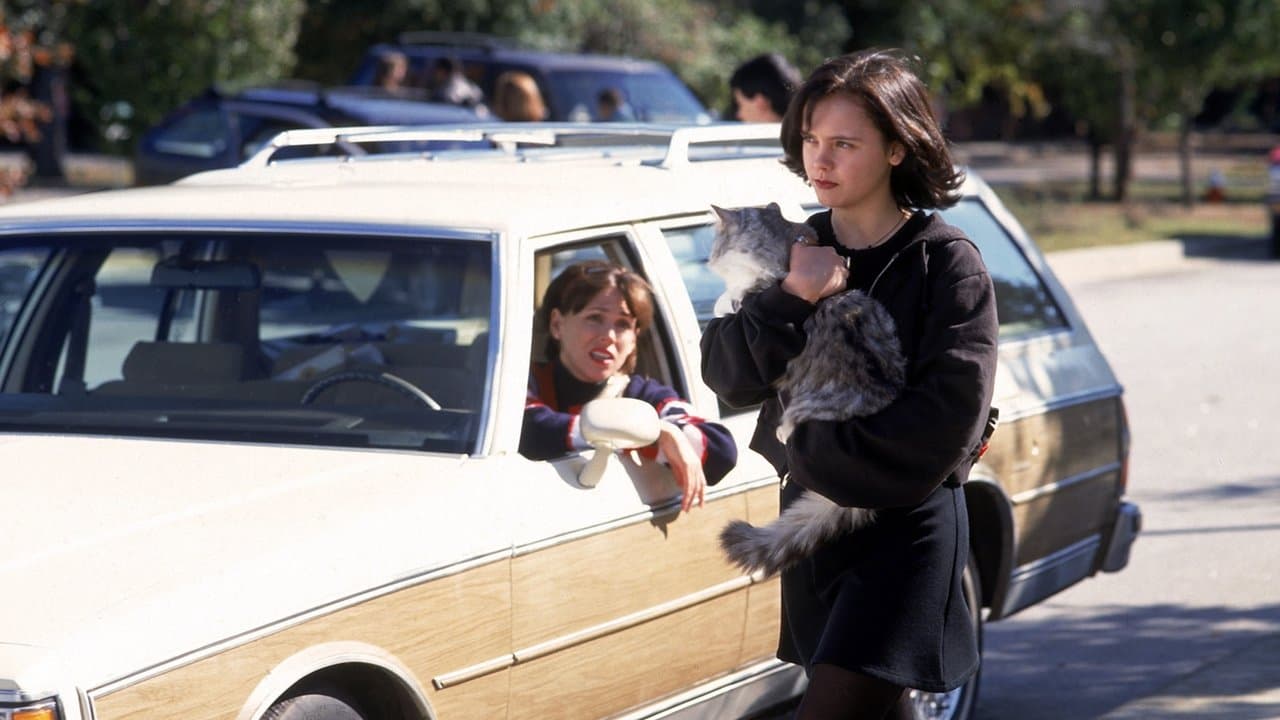 Backdrop – Dieser verflixte Kater