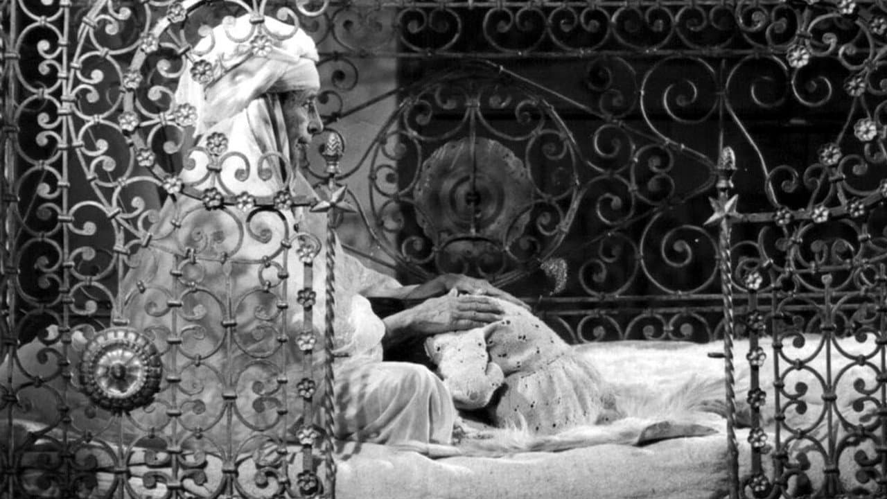 Backdrop – نوبة نساء جبل شنوة
