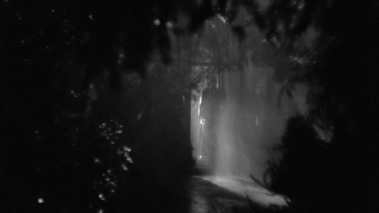 Backdrop – The Night Has Eyes