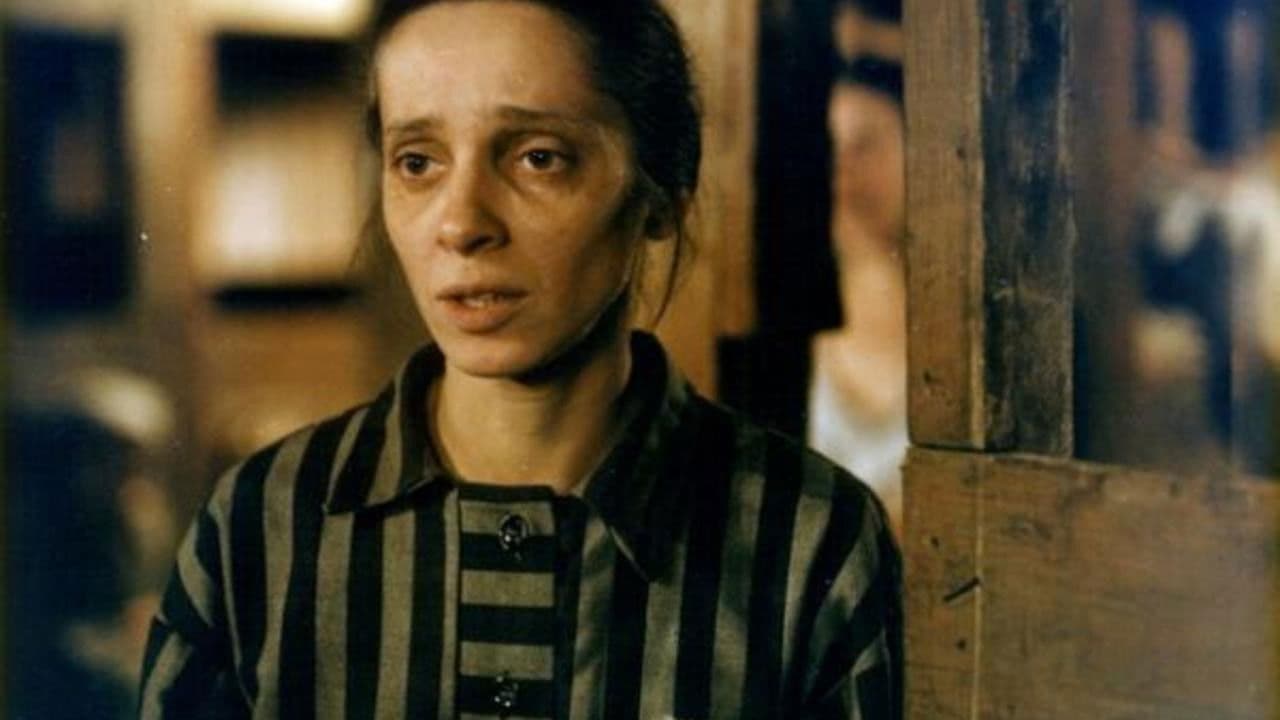 Backdrop – Zastihla mě noc