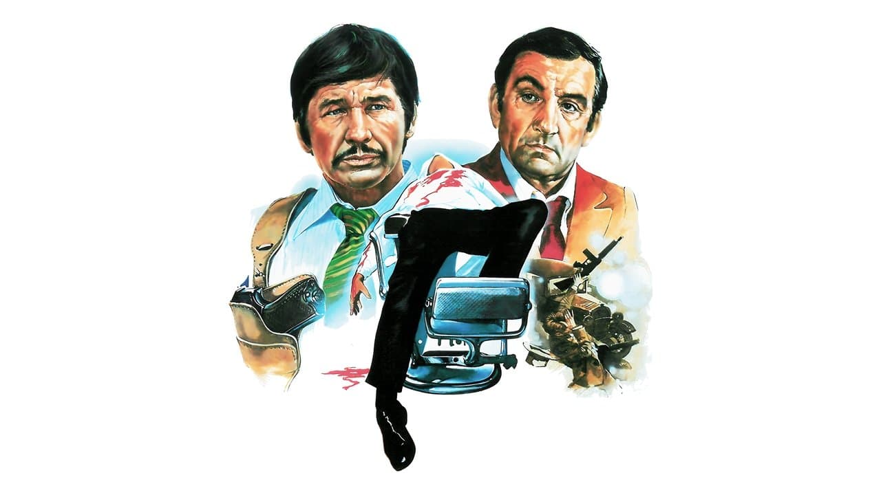 Backdrop – Die Valachi Papiere