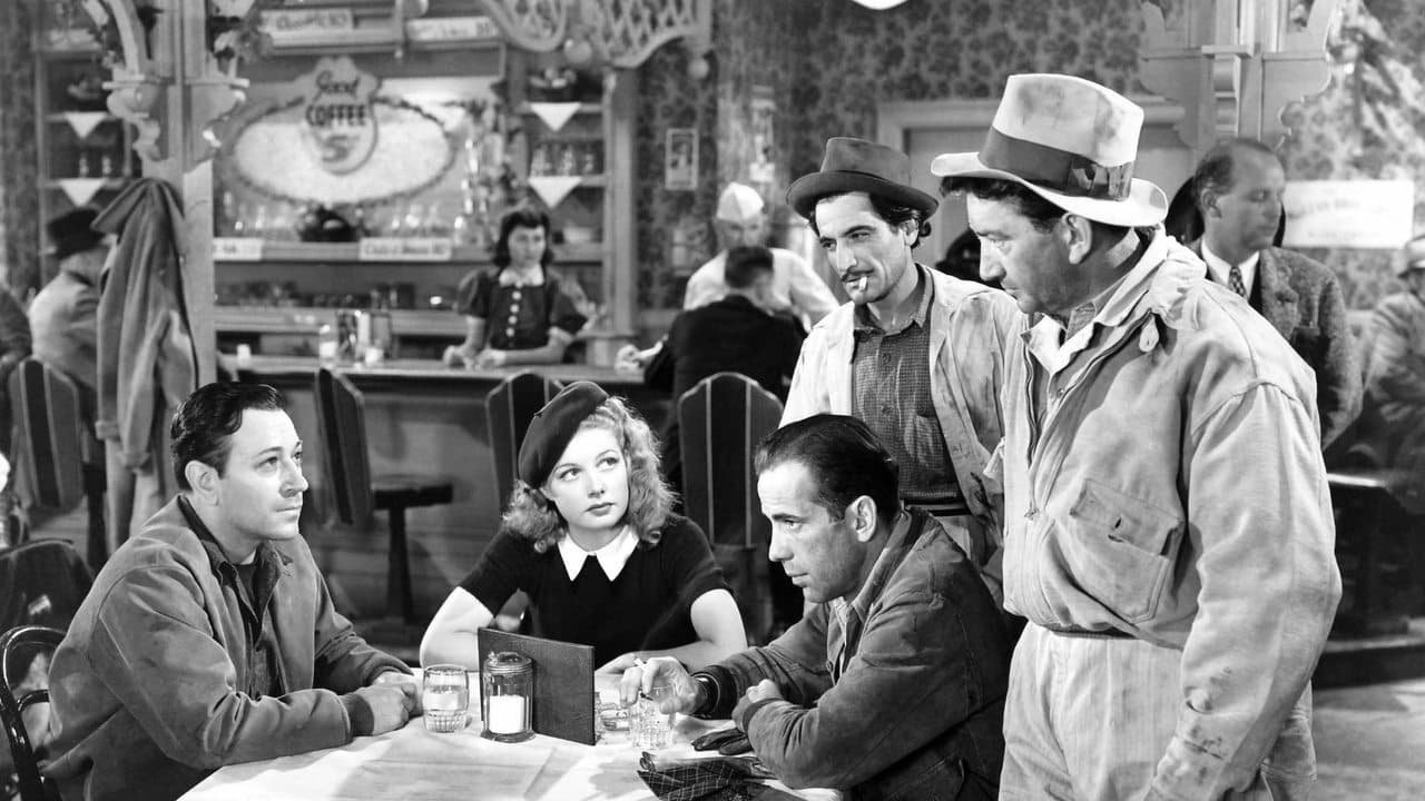 Backdrop – Nachts unterwegs