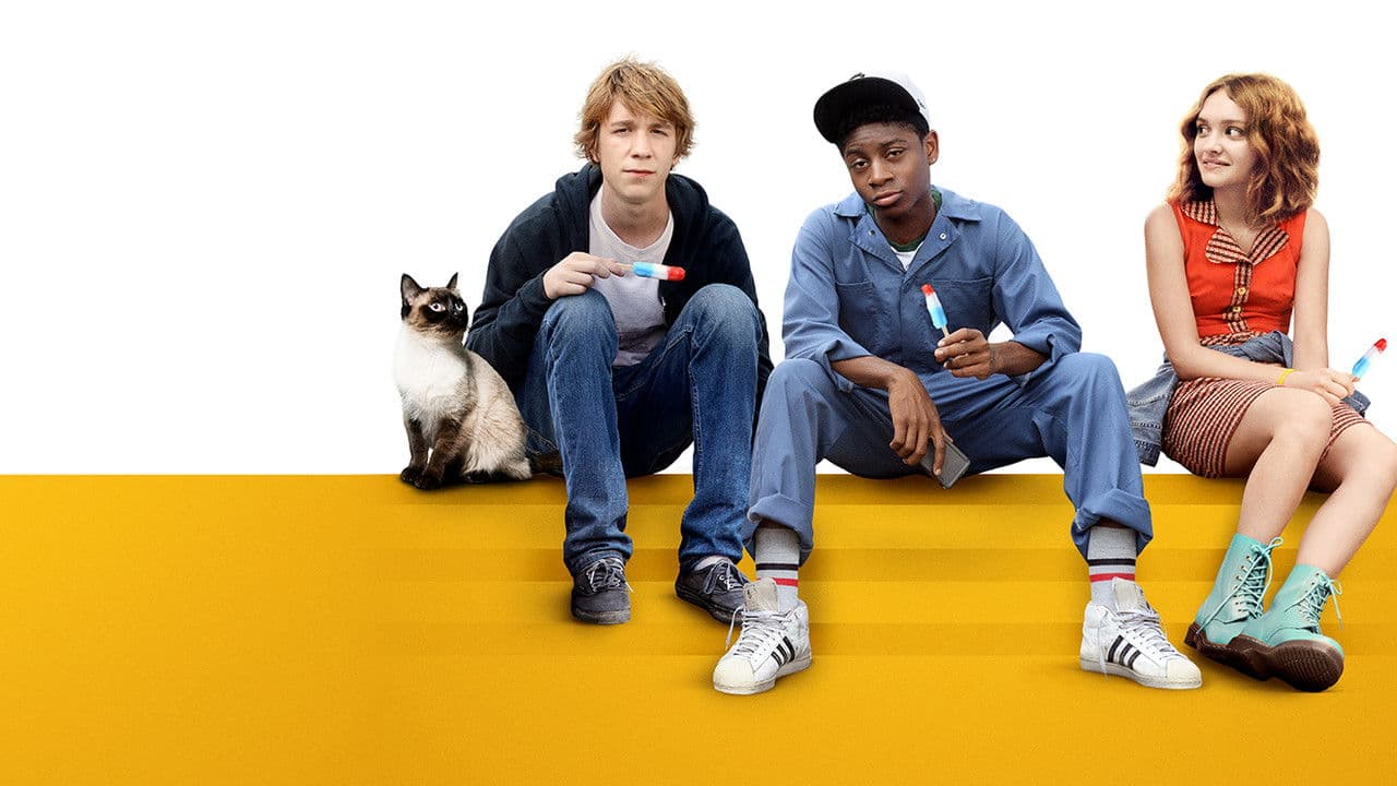 Backdrop – Ich und Earl und das Mädchen