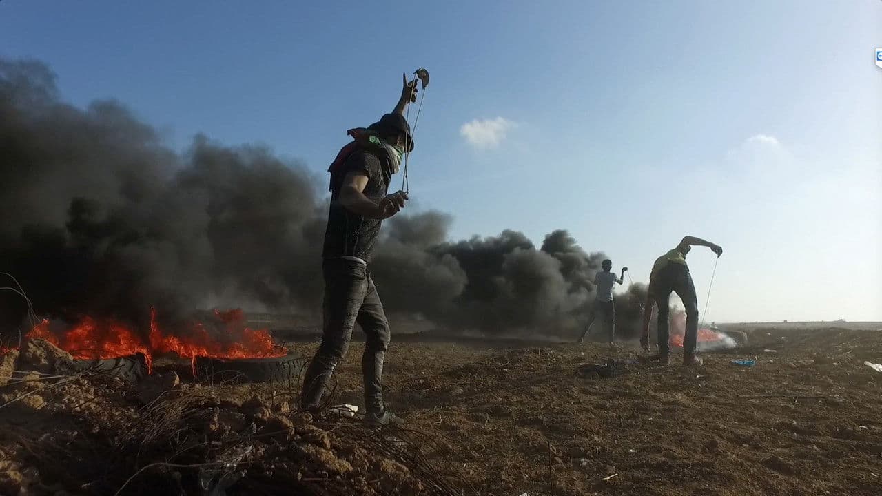 Backdrop – Gaza Fights for Freedom
