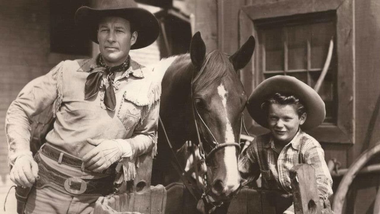 Backdrop – The Wildcat of Tucson